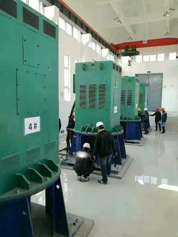 Y4001-2/450KW某污水处理厂使用我厂的立式高压电机安装现场